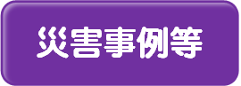 災害事例等